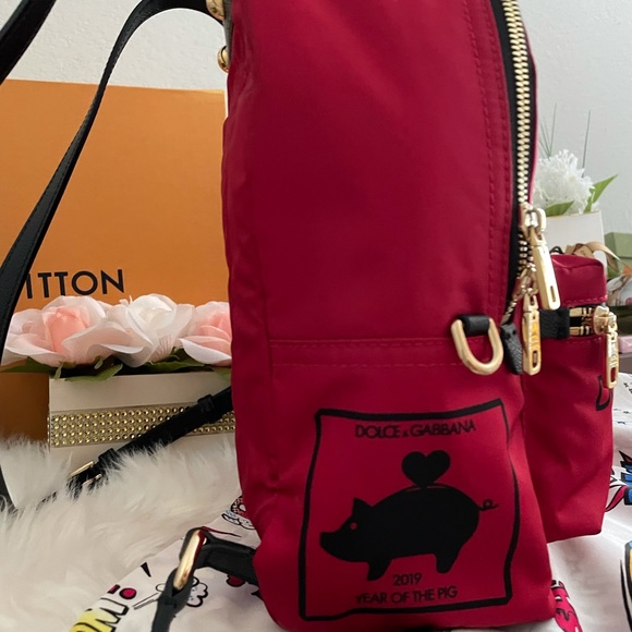 ❗️SOLD❗️Dolce & Gabbana backpack - Picture 5 of 15